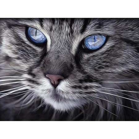 Diamond Painting Volwassenen | Cat Blue Eyes | 50x40 cm | Special Edition